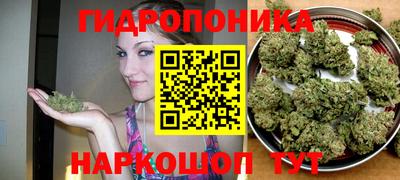 бошки Славянск-на-Кубани