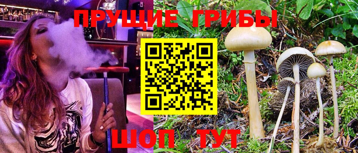 Псилоцибиновые грибы ЛСД Реж